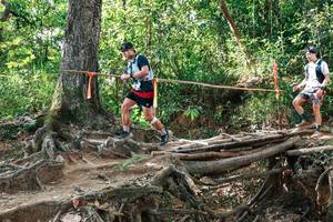 BIB: 
                            <button type="button" onclick="openModal(27558293)" class="btn btn-primary btn-sm float-right btn-popup" data-toggle="modal" data-target=".modal-high-quality">
                        <i class="fas fa-shopping-cart"></i> Add to Cart
                    </button>
                                            <button type="button" onclick="isThisMe(27558293, true)" class="btn btn-success btn-sm float-right btn-popup btn-isme hidden" data-toggle="tooltip" data-placement="bottom" title="นี่คือรูปของคุณใช่ไหม คลิกที่นี่เพื่อเอาเข้าอัลบั้ม">
                        <i class="fas fa-plus"></i> Add to album
                    </button>
                    <button type="button" onclick="isThisMe(27558293, false)" class="btn btn-warning btn-sm float-right btn-popup btn-isnotme hidden">
                        <i class="fas fa-ban"></i> Remove from album
                    </button>